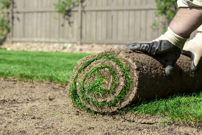 Sod Installation Service