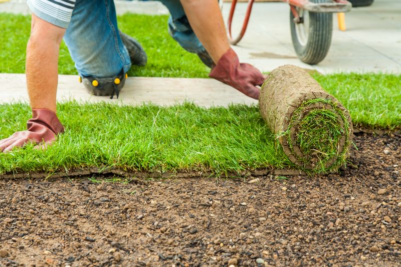 Sod Installation Cost Guide — Cost of Sod Installation