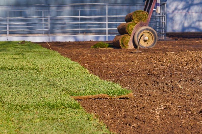 Yard Sod Installation in Ventura County, CA