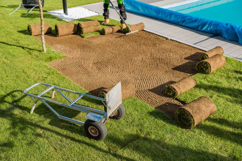 Yard Sod Replacement