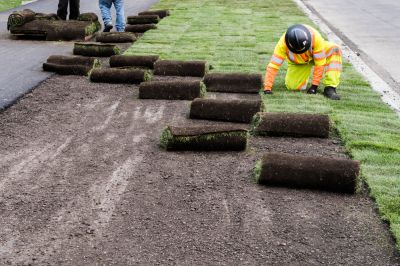 Get a Quick Brand New Turf!